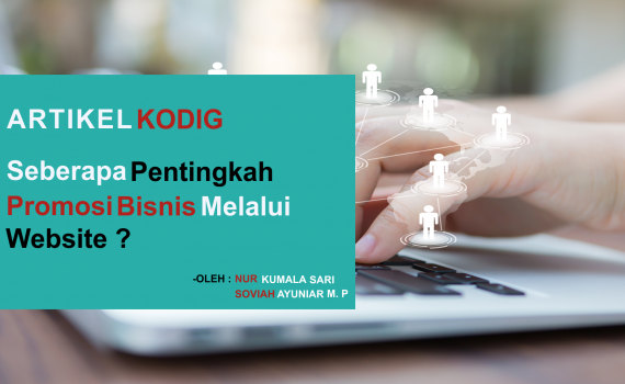 bisnis melalui website